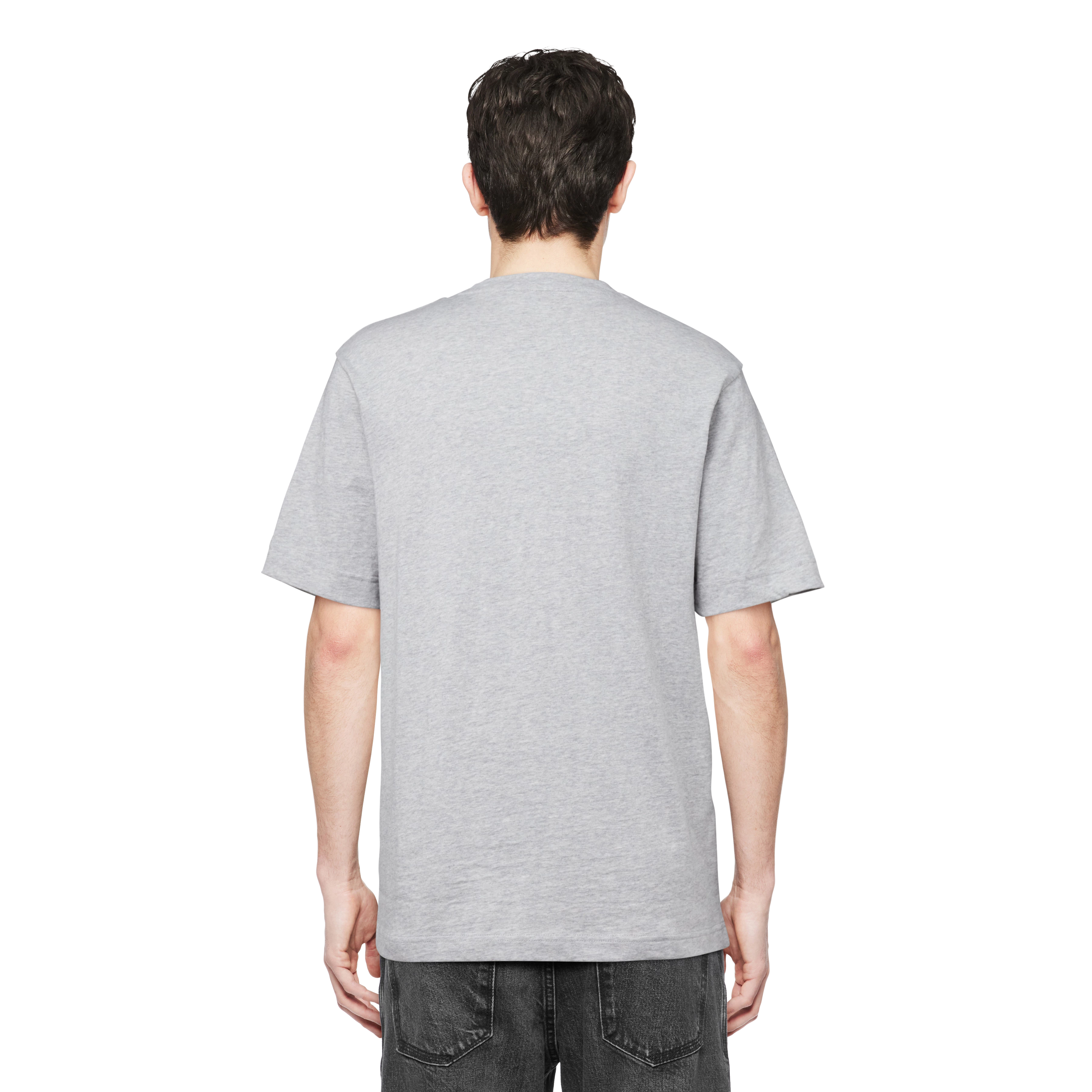 RAPHAEL - T-Shirt in reiner Baumwolle - Herren - grau - Rückansicht