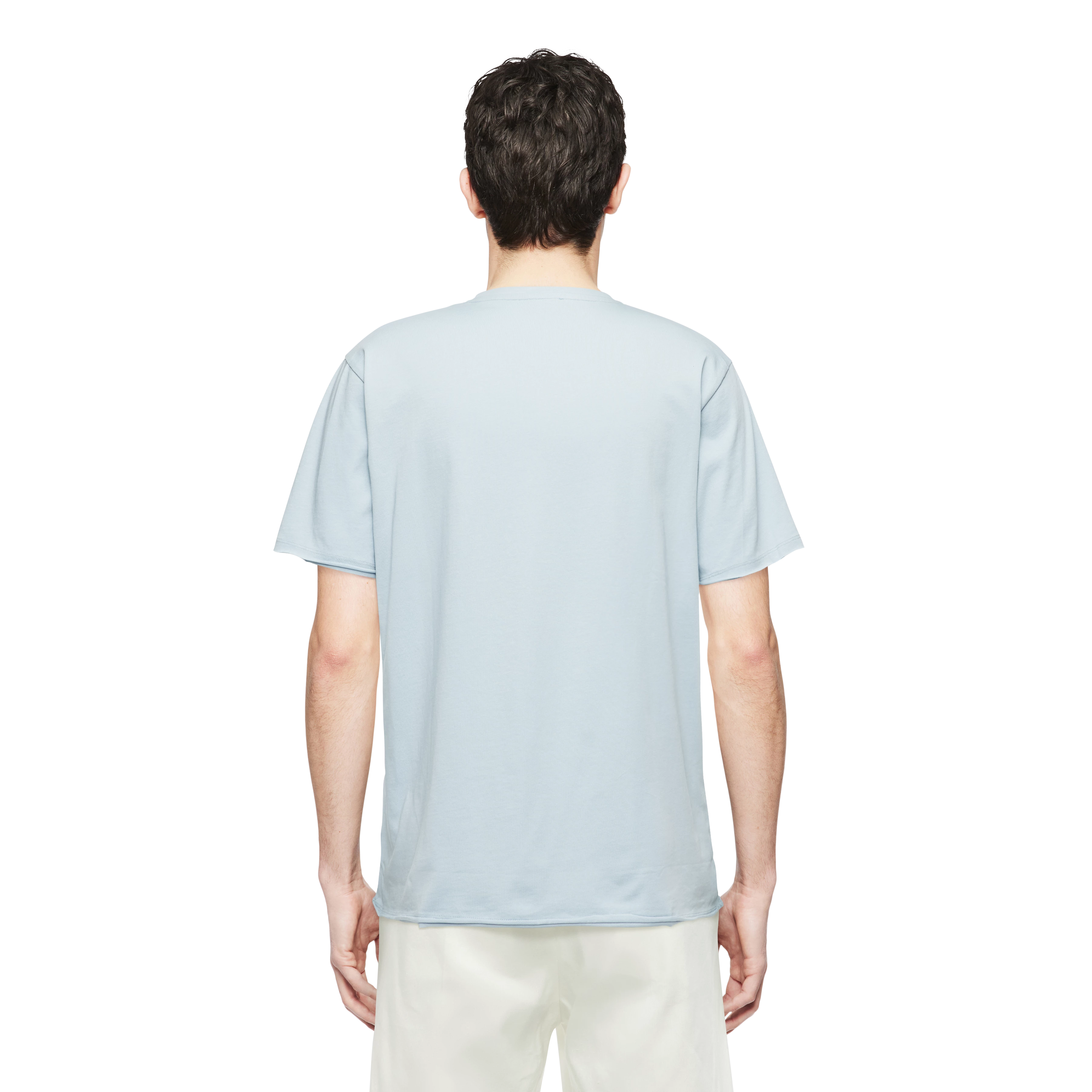 KENDRICK_2 - T-shirt in puur katoen - heren - blauw - Rückansicht