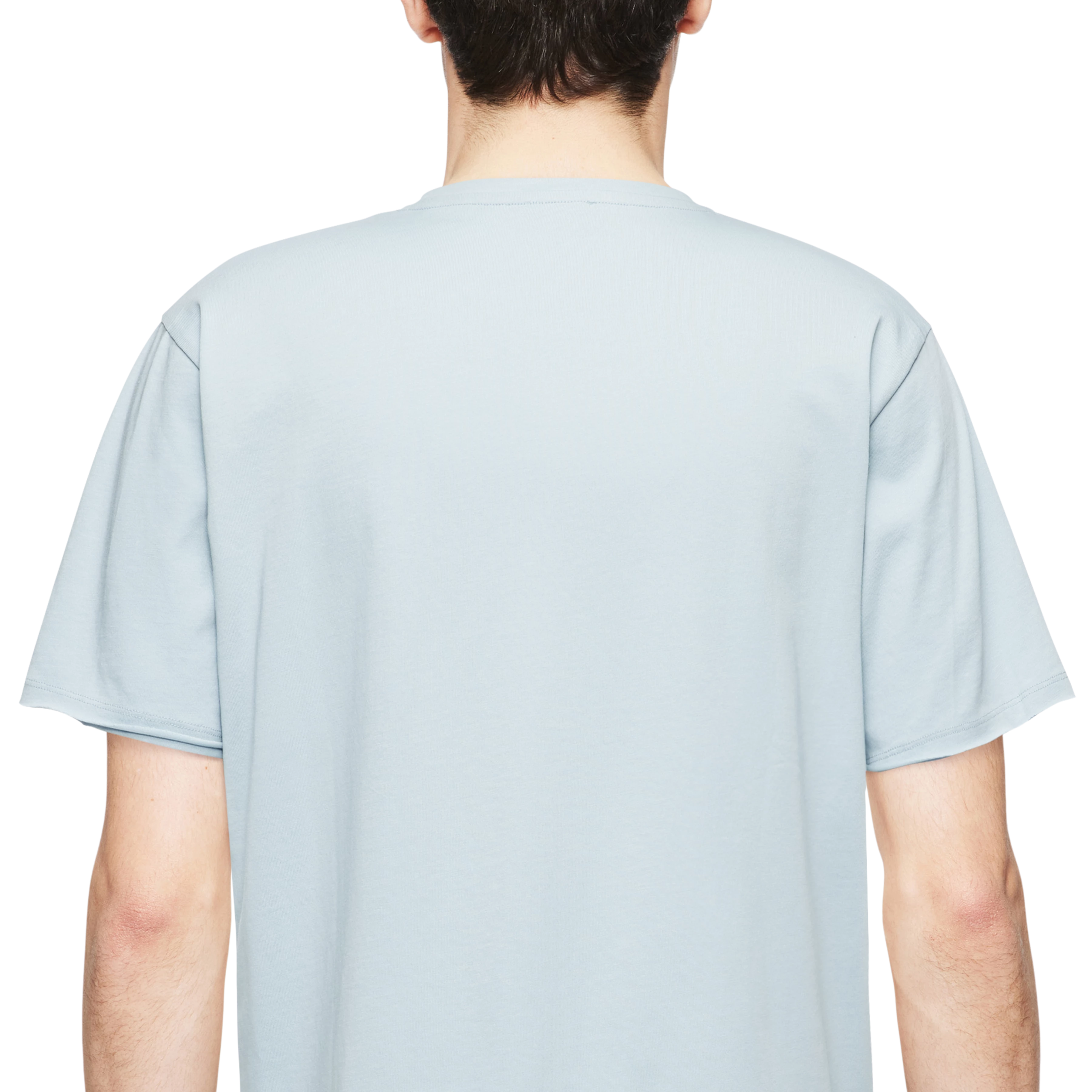 KENDRICK_2 - T-shirt in puur katoen - heren - blauw - Detailansicht am Model