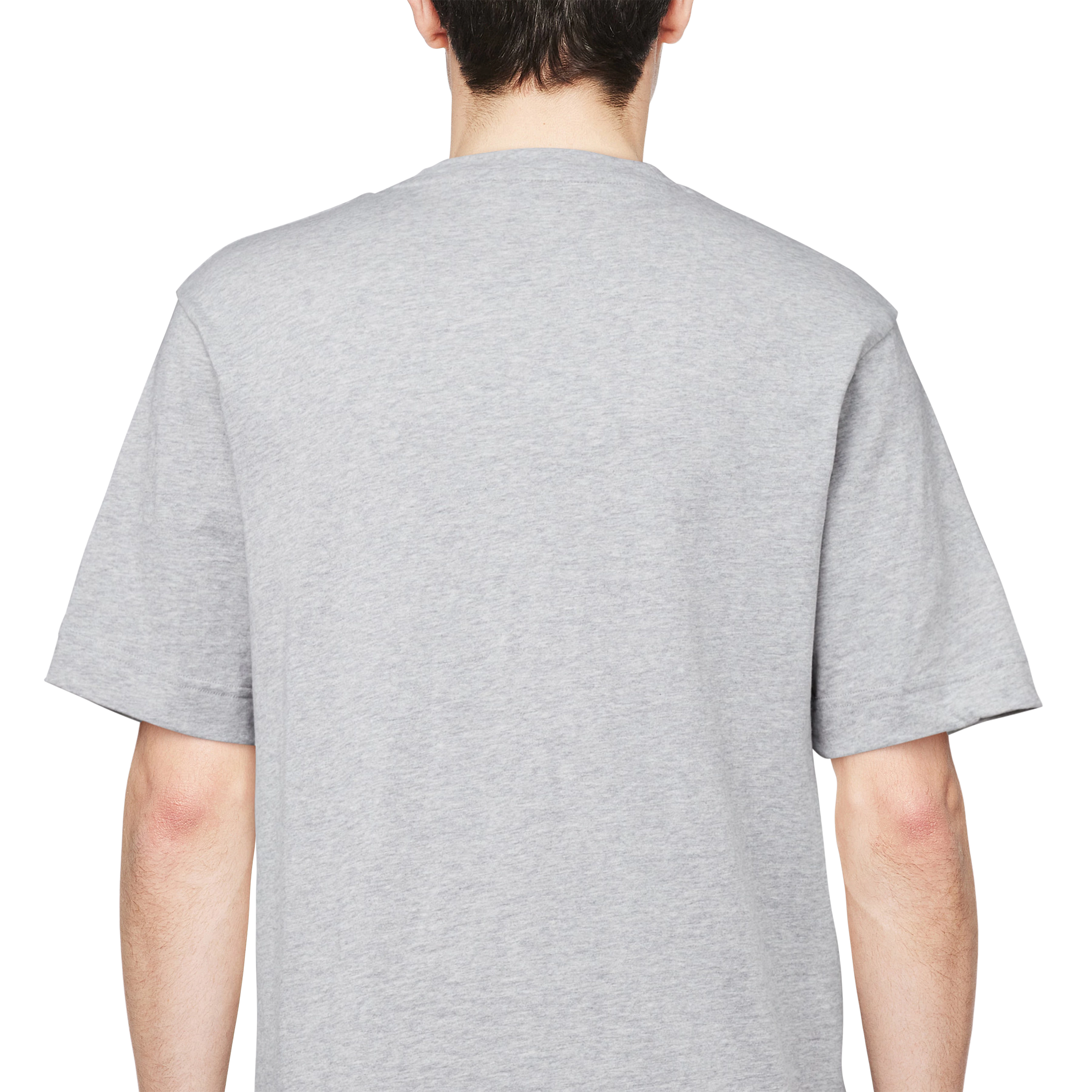 RAPHAEL - T-Shirt in reiner Baumwolle - Herren - grau - Detailansicht am Model