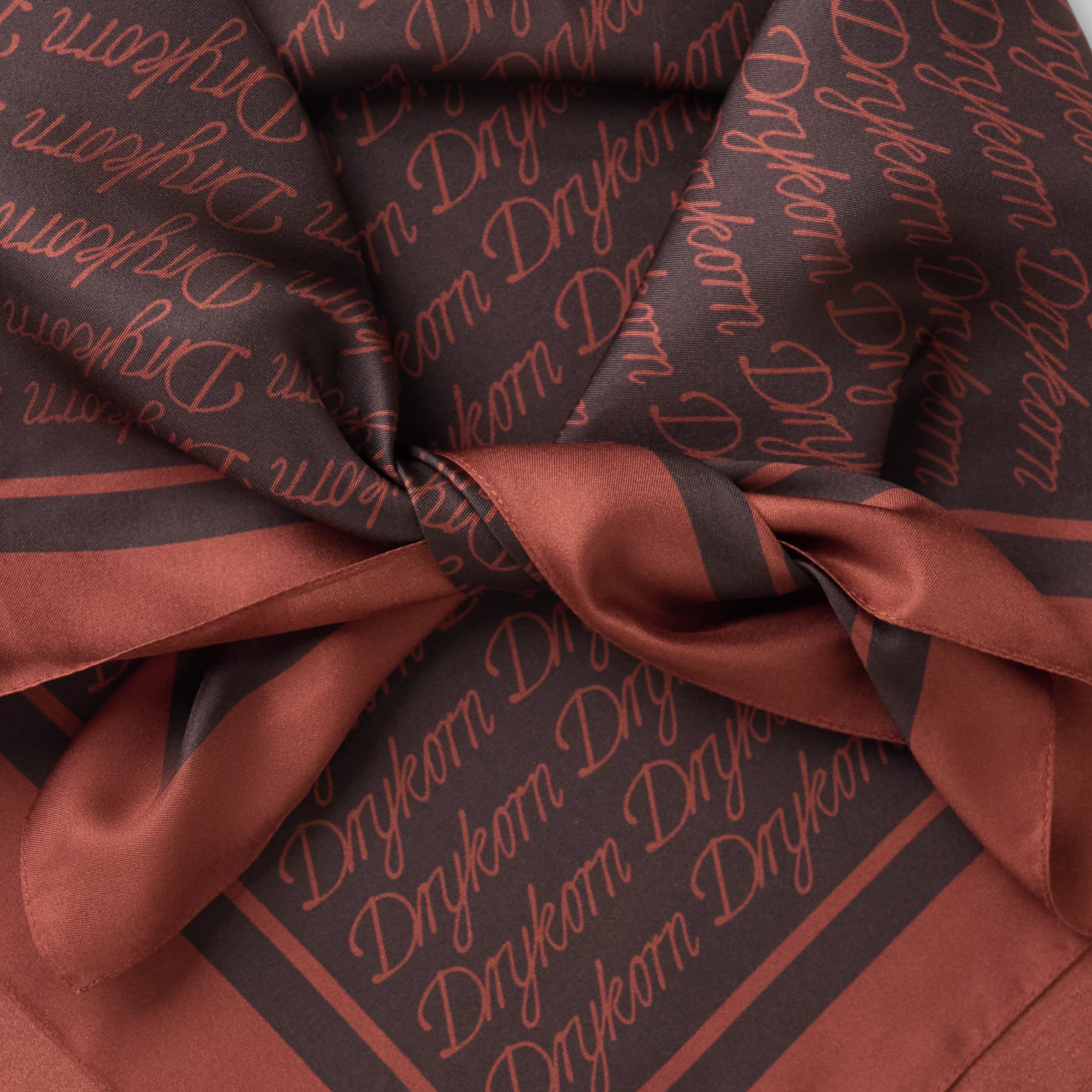 FANYA - All-over logo print scarf - unisex - brown - Freisteller Detailansicht