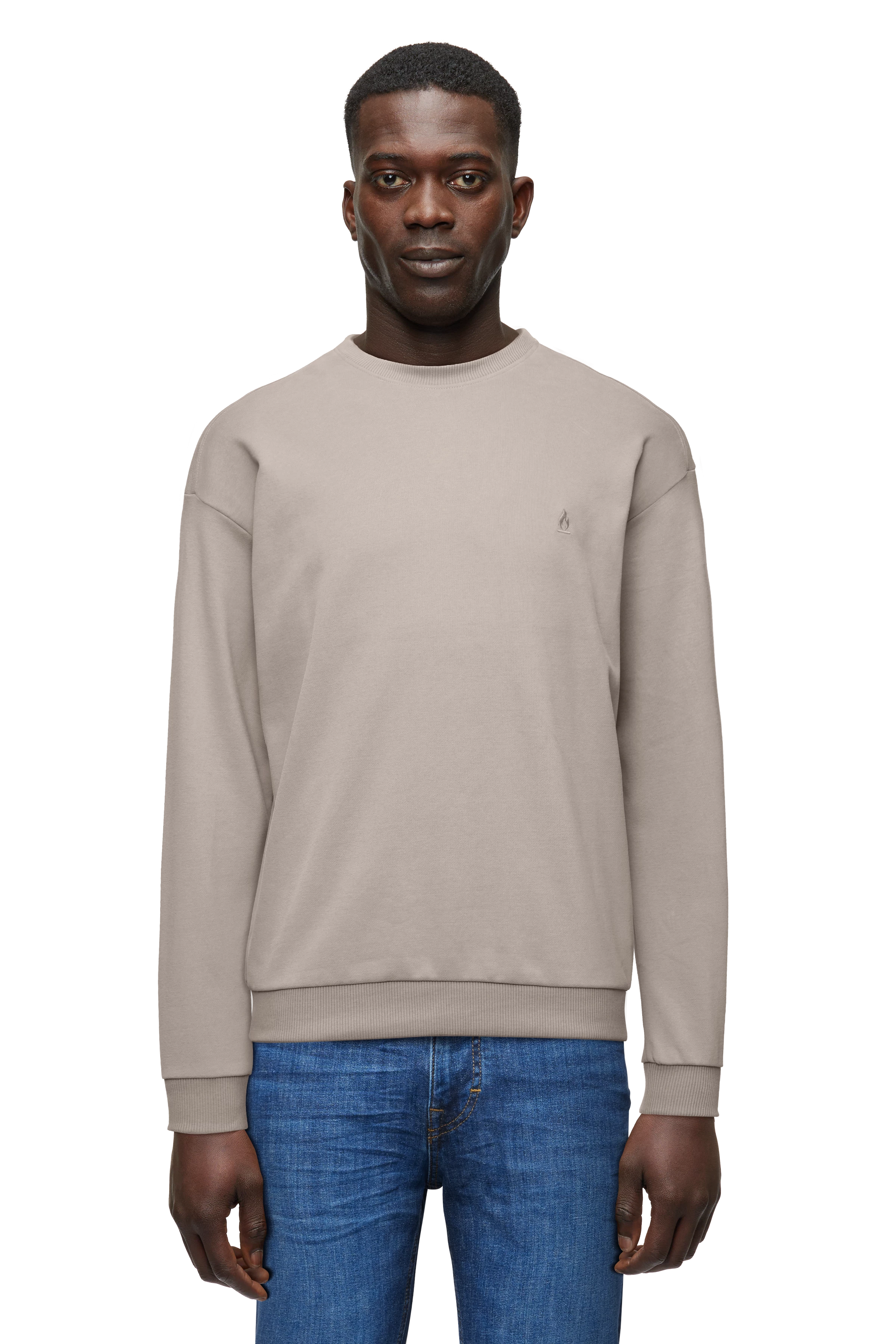 Men sweatshirt BENJAN in beige from DRYKORN - Main Image