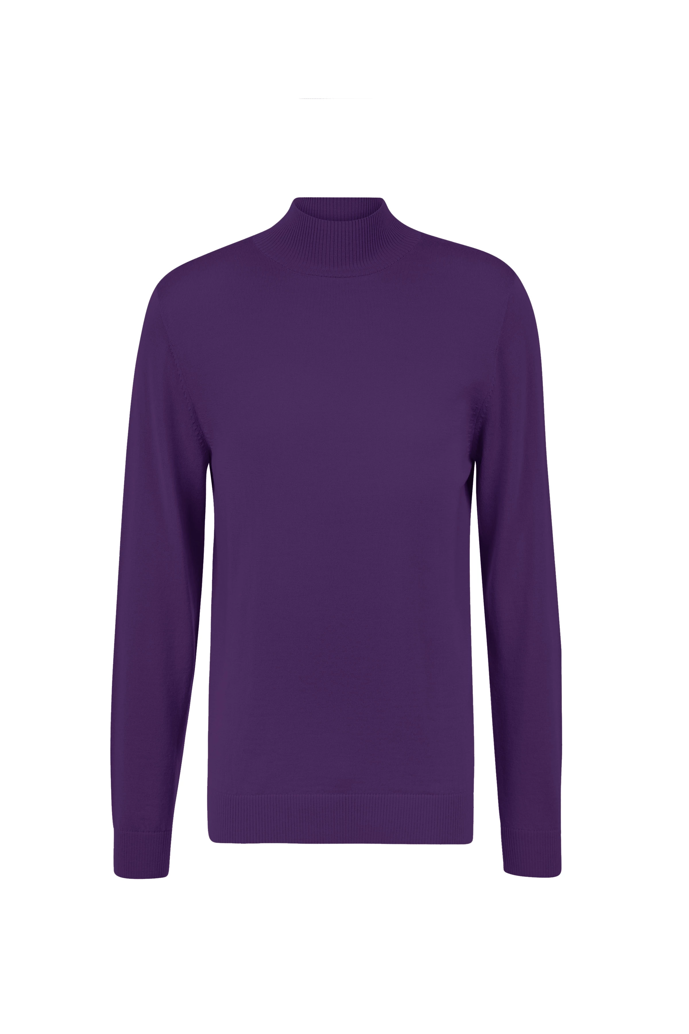 WATSON - Knitted jumper with turtle neck in merino wool - men - purple - Freisteller Frontansicht
