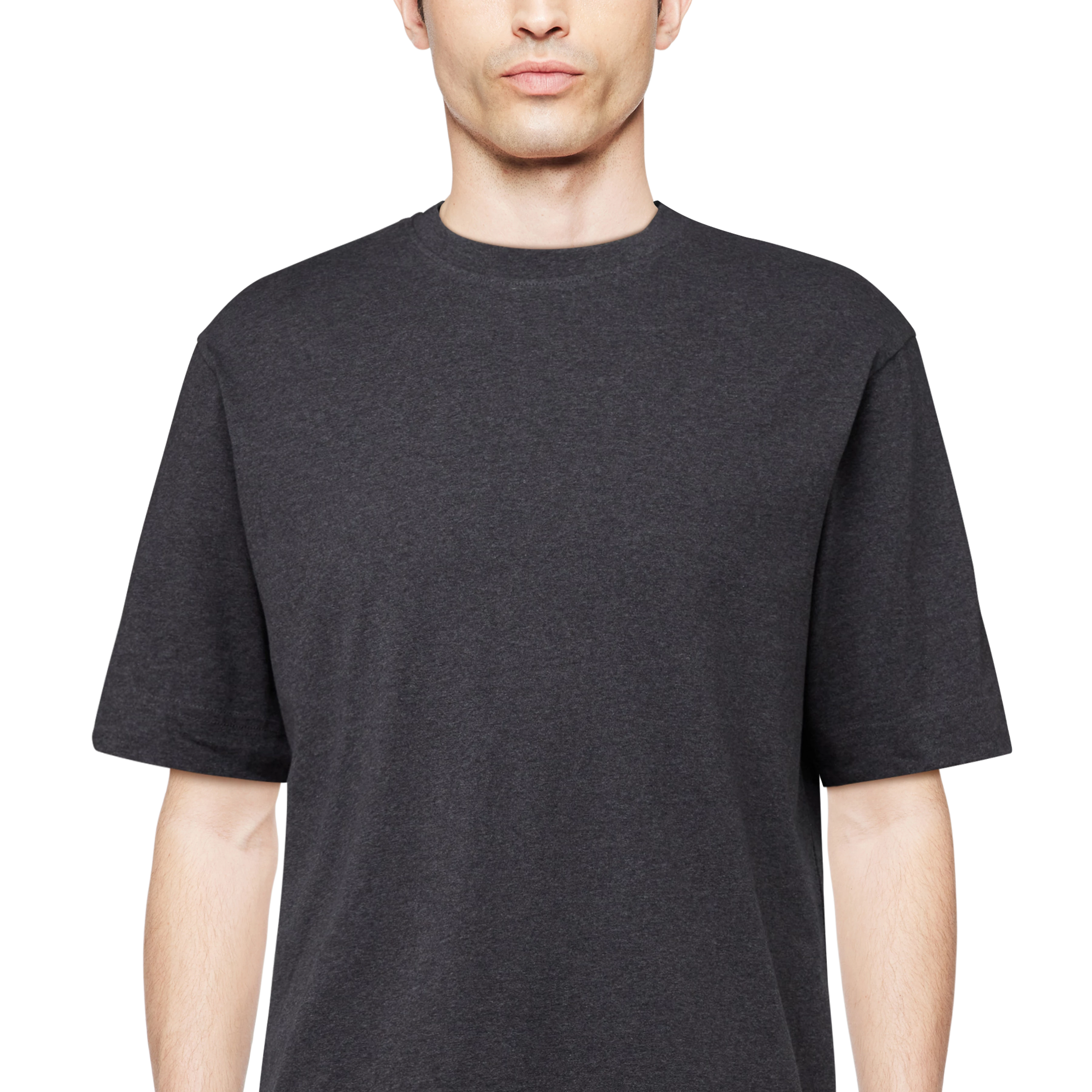 RAPHAEL - T-Shirt in reiner Baumwolle - Herren - grau - Detailansicht am Model