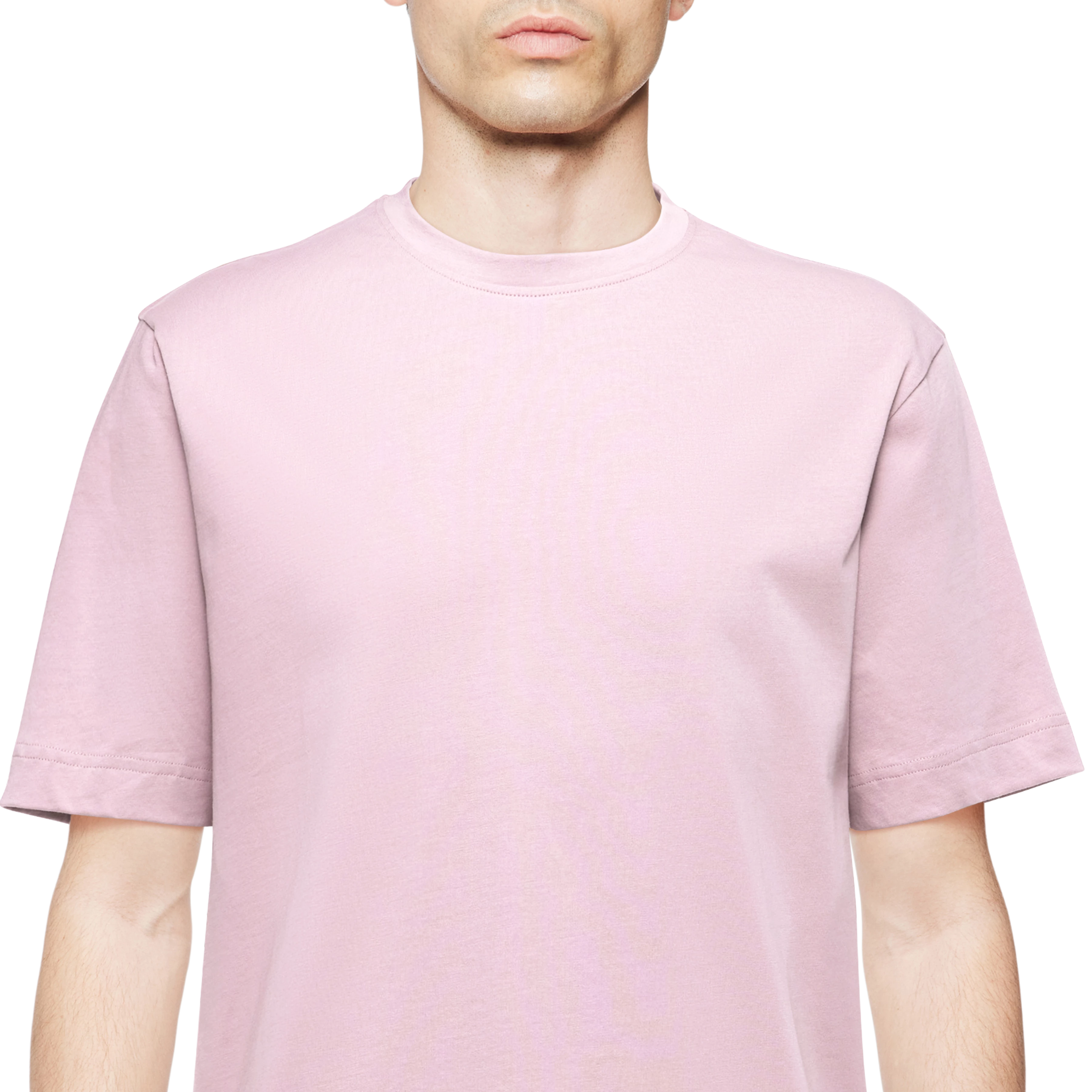 RAPHAEL - T-shirt in pure cotton - men - purple - Detailansicht am Model