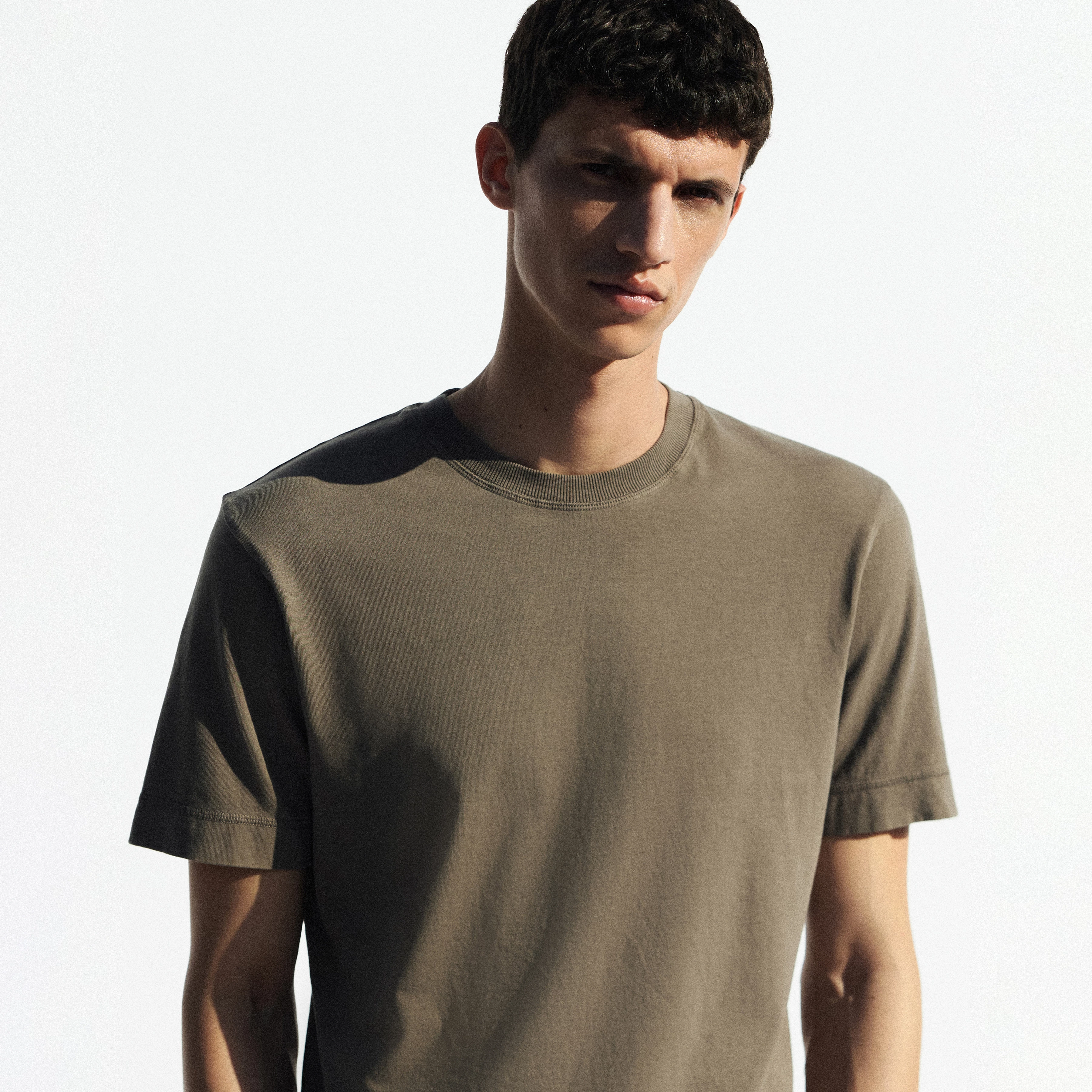 RAPHAEL - Pure cotton T-shirt - men - brown