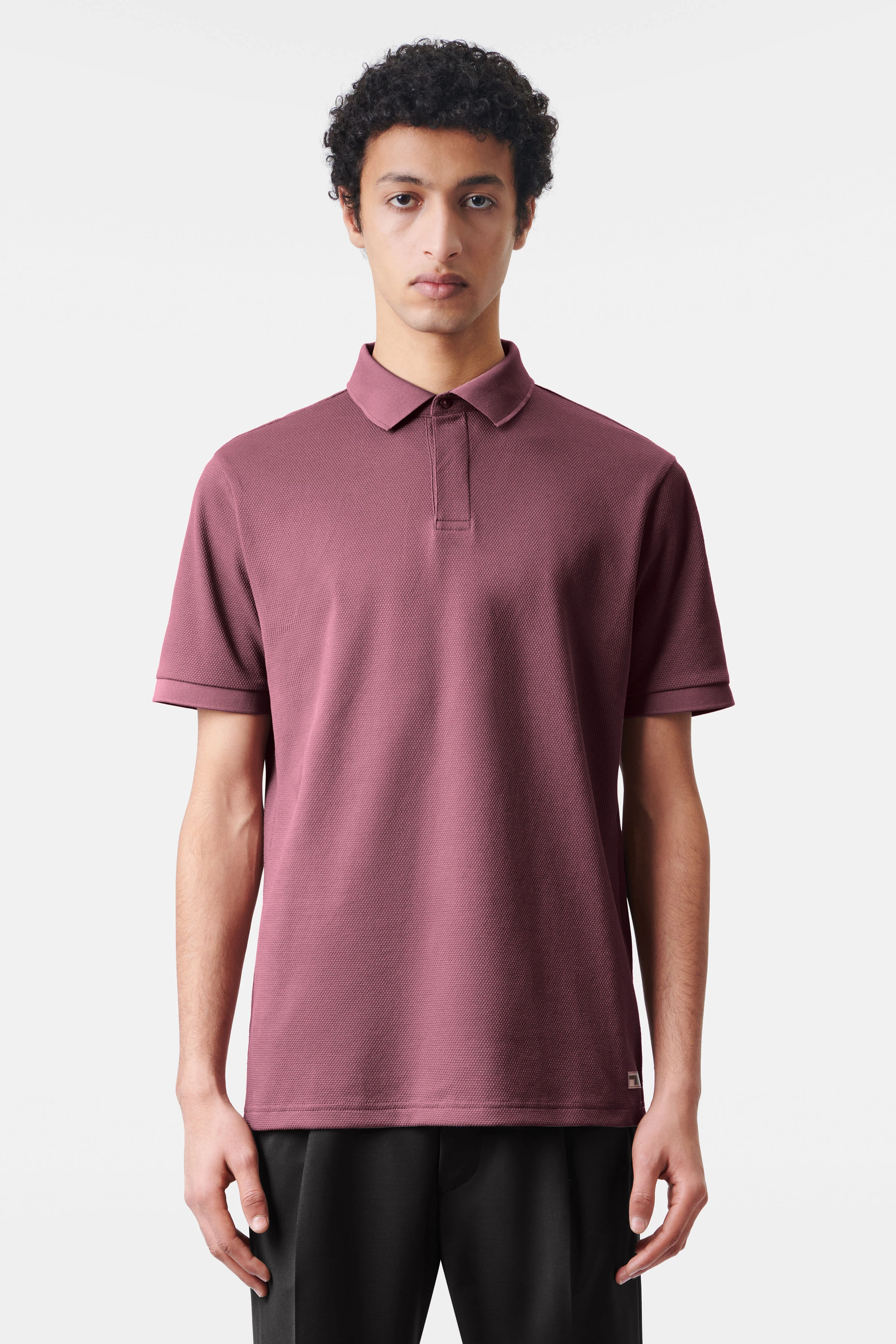 SANTOS - classic regular fit polo in a cotton blend - men - purple - Frontansicht