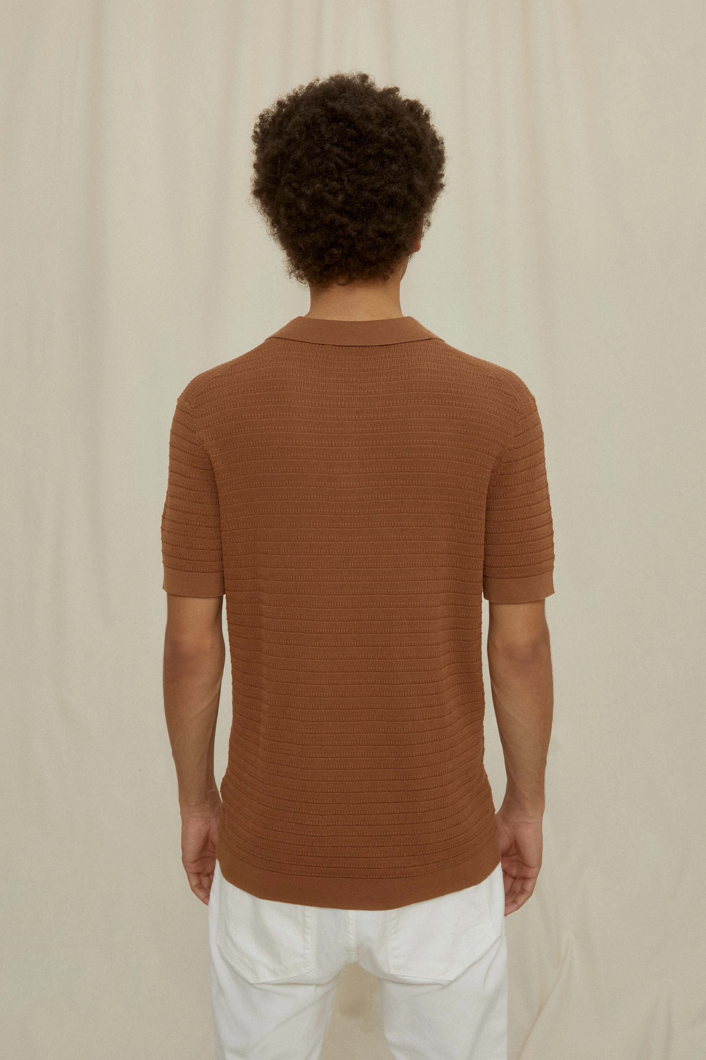 BRAIAN - poloshirt - heren - bruin - Rückansicht