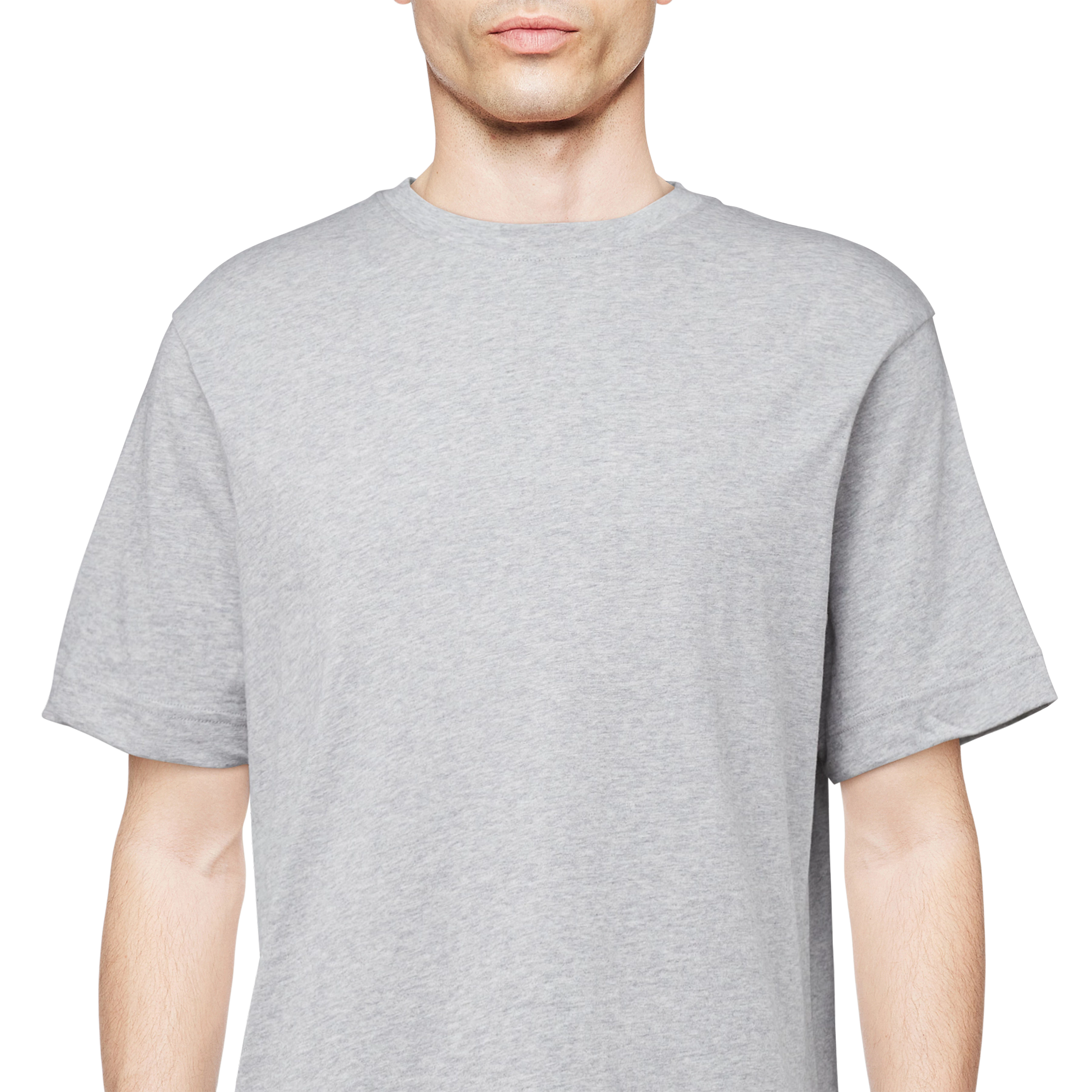 RAPHAEL - T-Shirt in reiner Baumwolle - Herren - grau - Detailansicht am Model