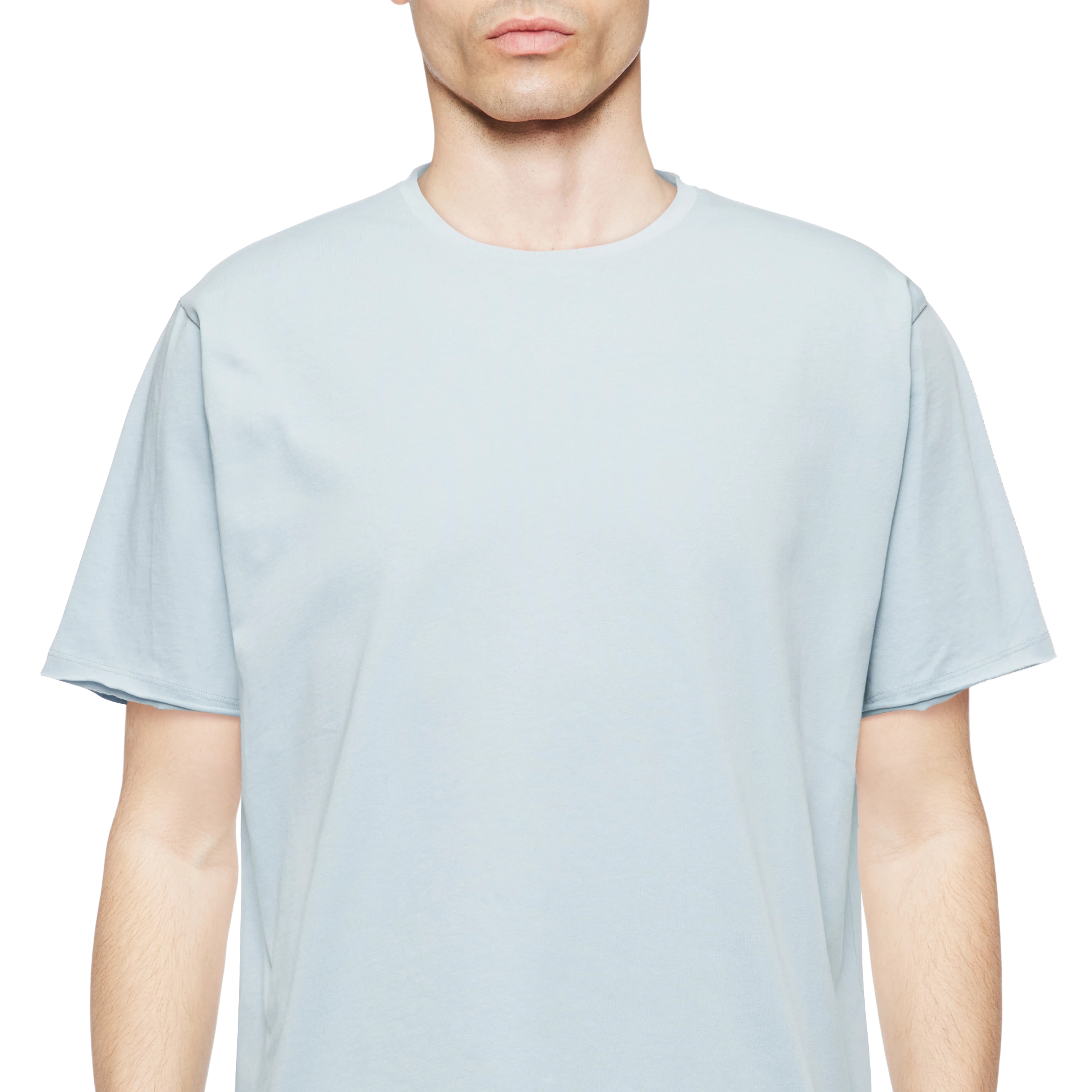 KENDRICK_2 - T-shirt in puur katoen - heren - blauw - Detailansicht am Model