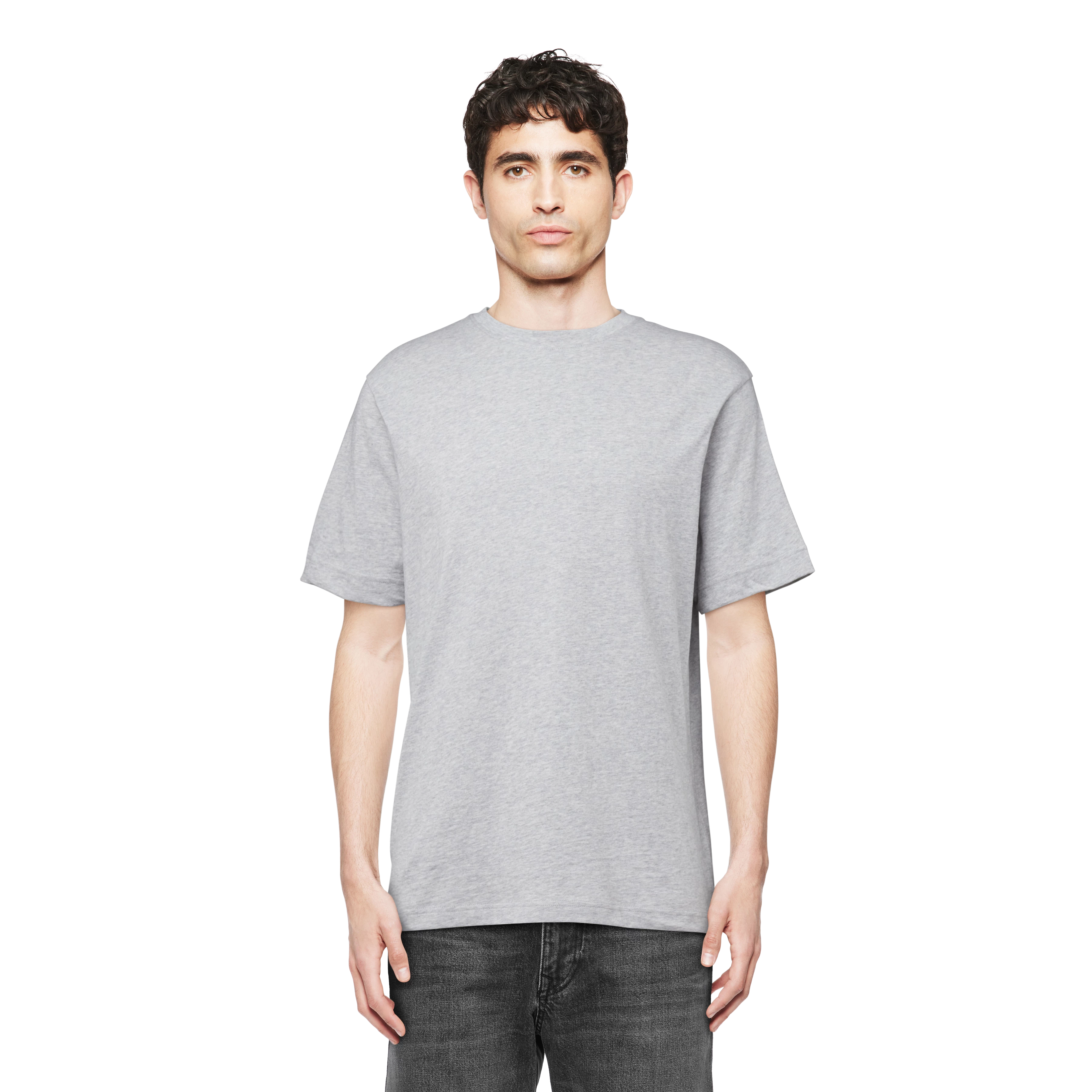 RAPHAEL - T-Shirt in reiner Baumwolle - Herren - grau - Frontansicht